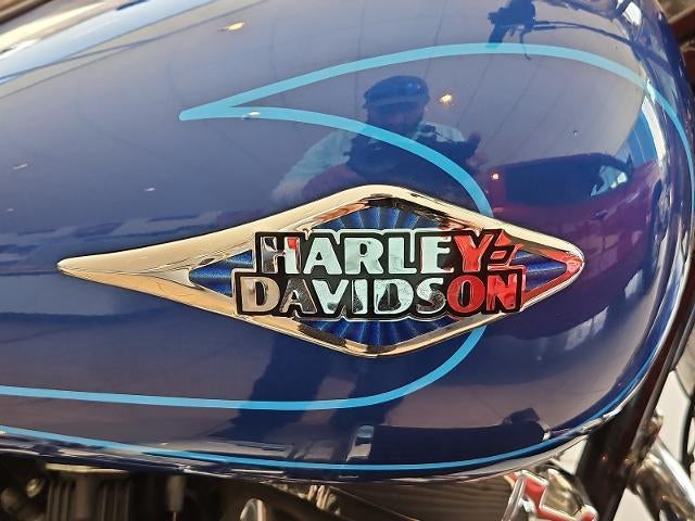 2010 HARLEY-DAV Heritage S Base