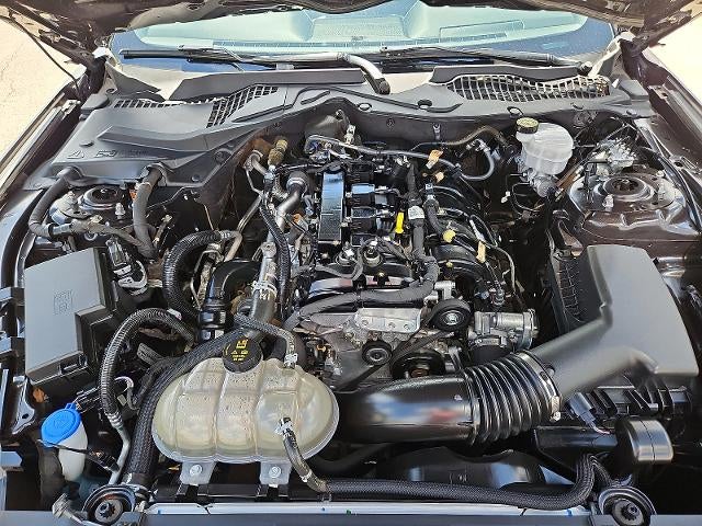 2023 Ford Mustang EcoBoost